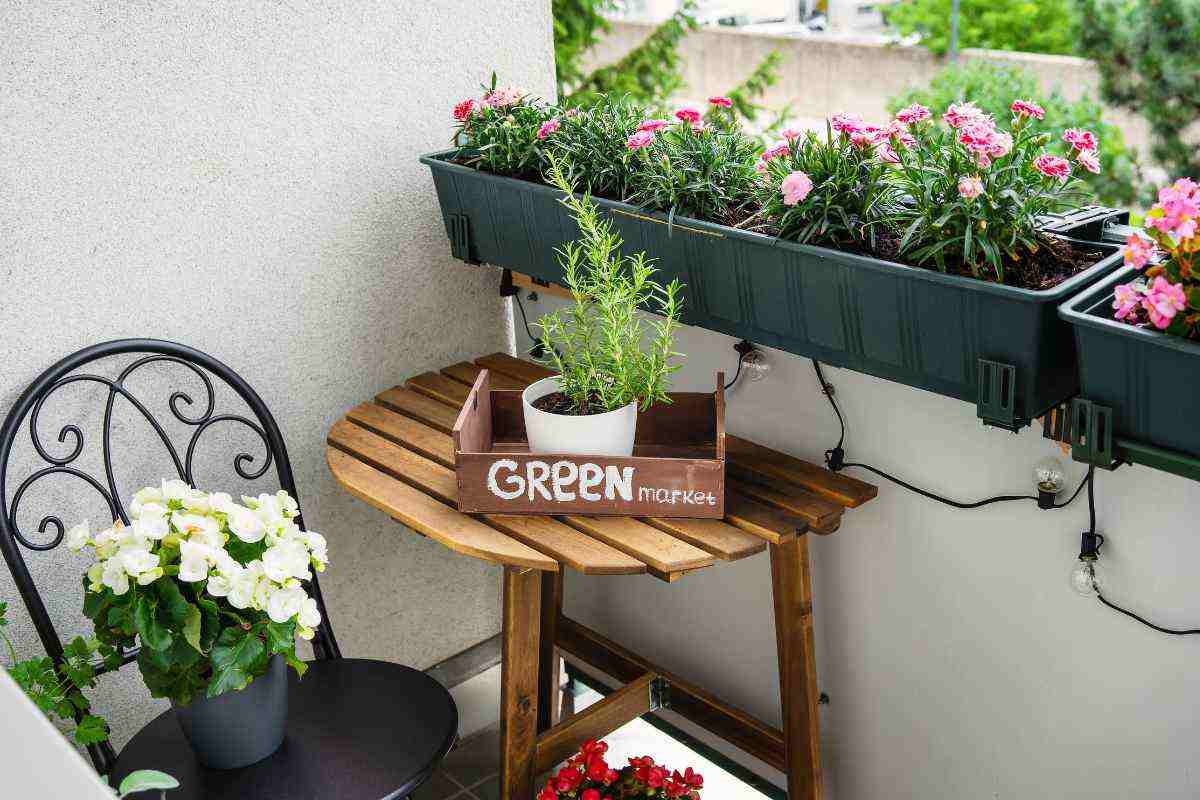Puoi trasformare il tuo balcone in una vera e propria oasi naturale (e a costo zero)