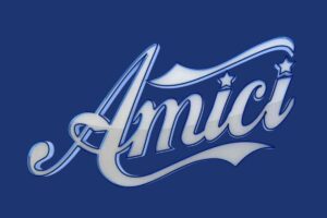Immagine Amici di Canale 5