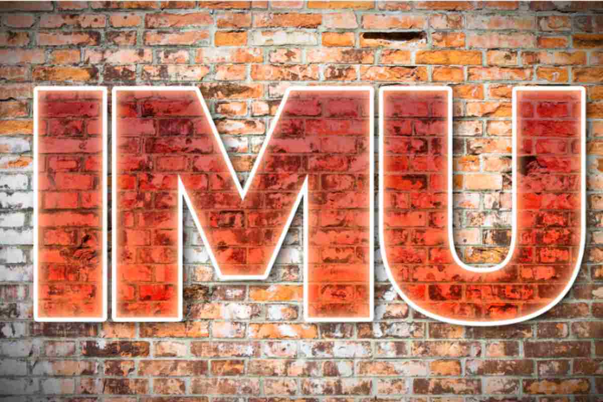 IMU