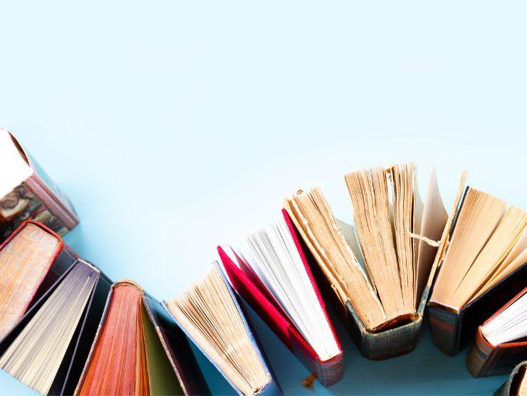 insieme di libri