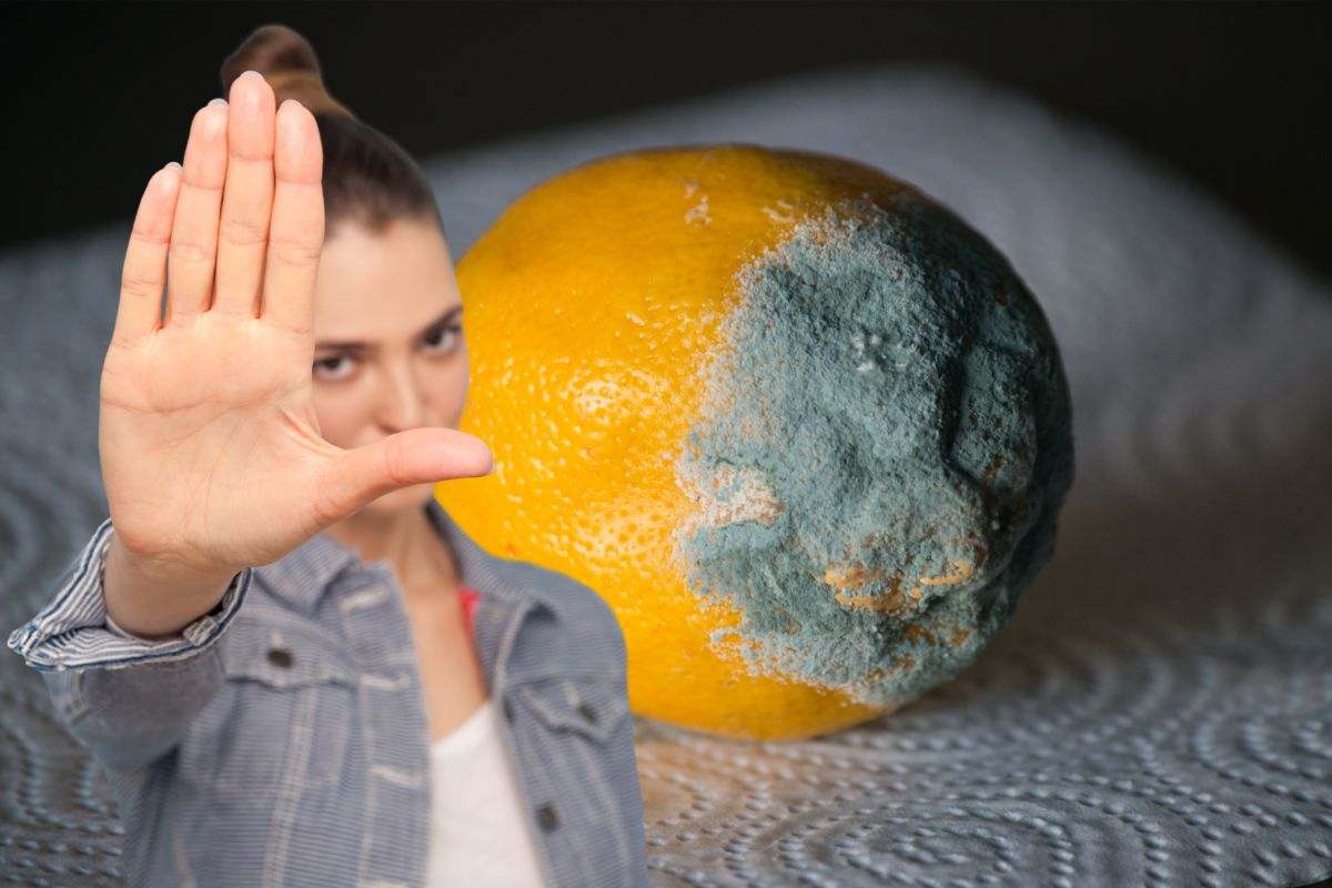 Di sicuro hai sempre sbagliato anche tu a conservare i limoni: è così che devi fare per averli sempre freschi