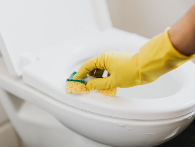 pulizia della tavoletta del wc
