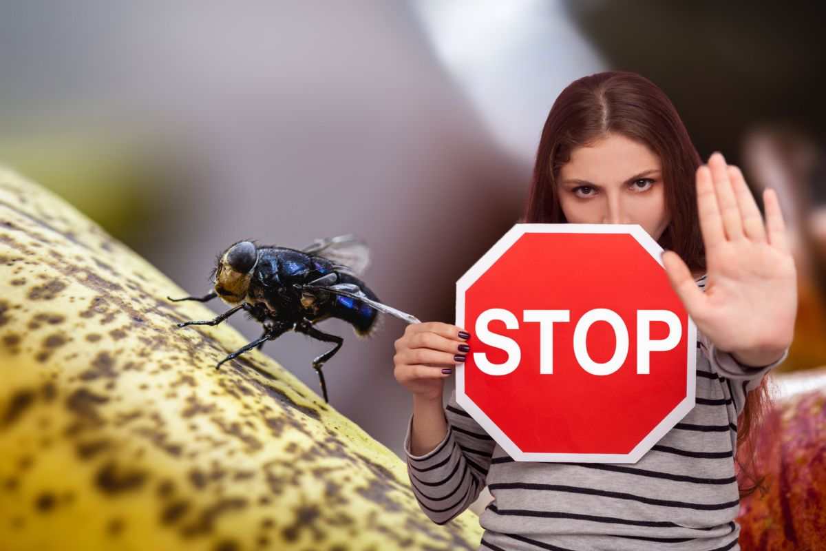 mosca su banana e donna che fa stop con le mani
