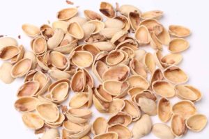gusci di pistacchio secchi