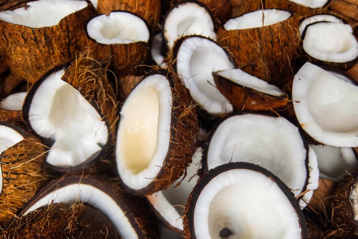 7 idee uniche ed originali per riciclare in modo geniale i gusci del cocco: impreziosisci casa con elementi unici